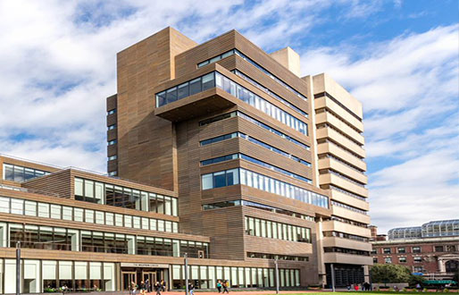 An Introduction to LED Bulbs